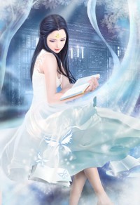总裁的女人