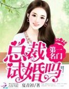 《第一名门:总裁,试婚吗》