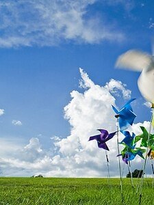 《(苍天+情深深同人)萍翔风落》