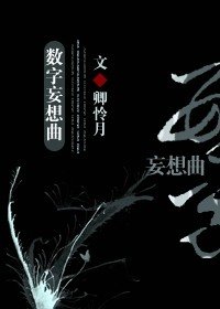 (综小说同人)数字妄想曲