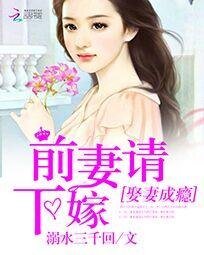 娶妻成瘾:前妻请下嫁