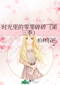 时光里的零零碎碎(第三季)