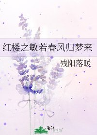 红楼之敏若春风归梦来