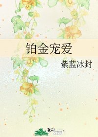 铂金宠爱