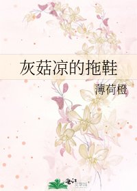 《灰菇凉的拖鞋》