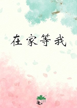 在家等我